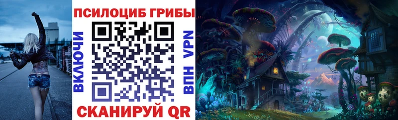 Галлюциногенные грибы Psilocybine cubensis продажа наркотиков Строитель